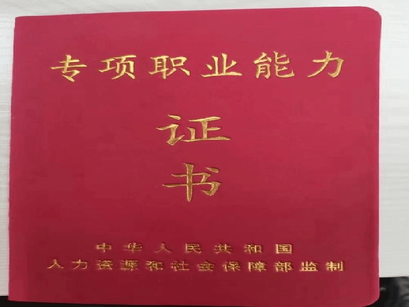 资质证件定制 资质证件定制-红金大气喜庆风